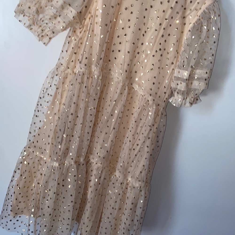 Gold Zara dress with mesh and slip underneath